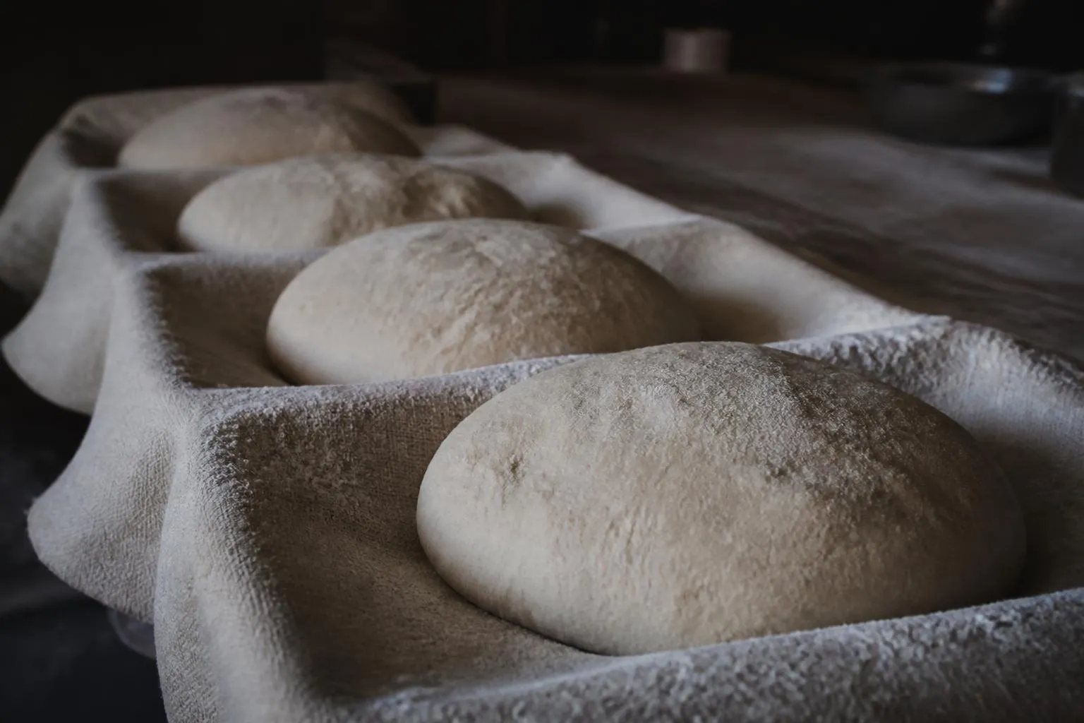Des pâtons de pain en apprêt sur une toile de lin farinée, dans un fournil.